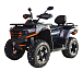 Квадроцикл MOTOLAND (МОТОЛЕНД) 300 MAX X в Рязани