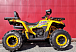 Квадроцикл PROMAX STORM 280 LUX в Рязани