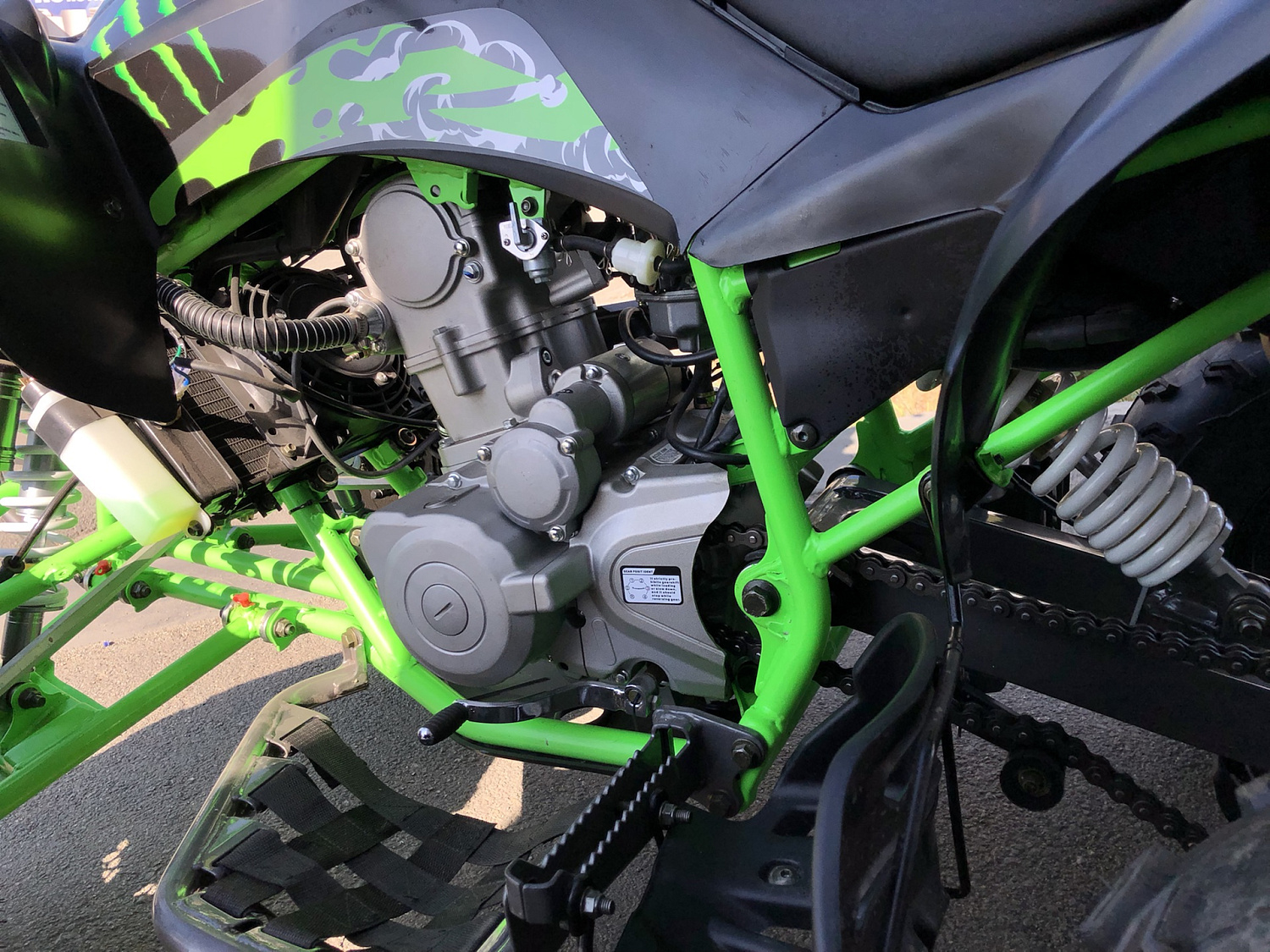 Квадроцикл PROMAX RAPTOR 300 NEW Monster в Рязани