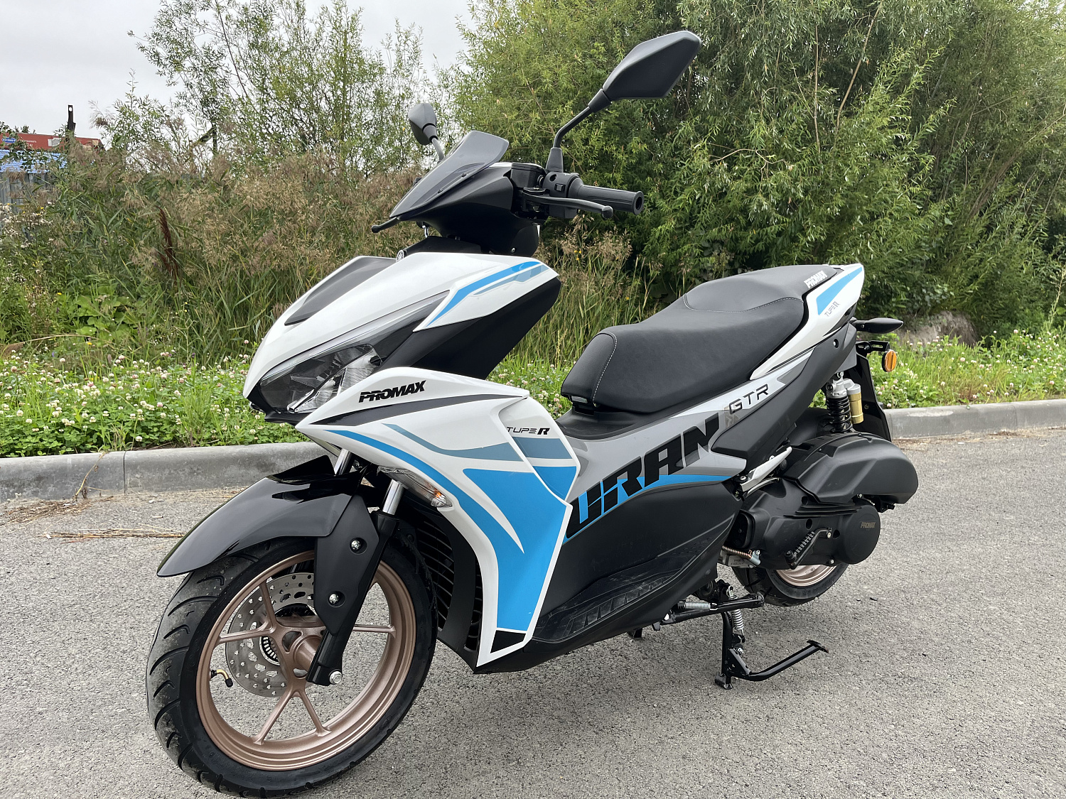 Скутер PROMAX TURAN 250 (49) в Рязани