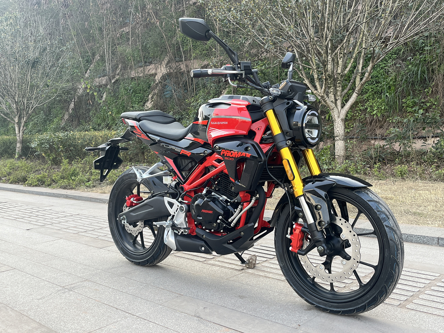 Мотоцикл PROMAX CB300 в Рязани