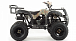 Квадроцикл MOTOLAND (МОТОЛЕНД) 200 ALL ROAD в Рязани