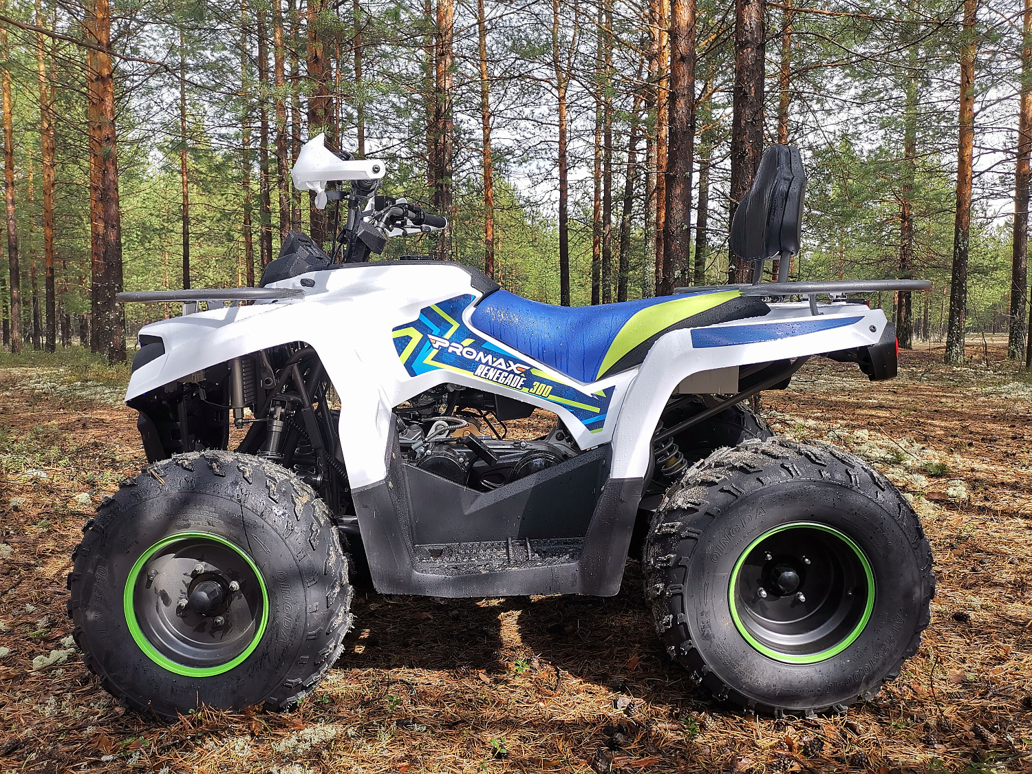 Квадроцикл PROMAX RENEGADE 280 (2025) в Рязани