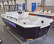 Комбинированный катер Wyatboat-430 M в Рязани