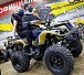Квадроцикл PROMAX ATV 250 (2025) в Рязани