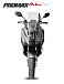МаксиСкутер PROMAX-HONDA ADV 150 (49) (Inspired by HONDA) в Рязани
