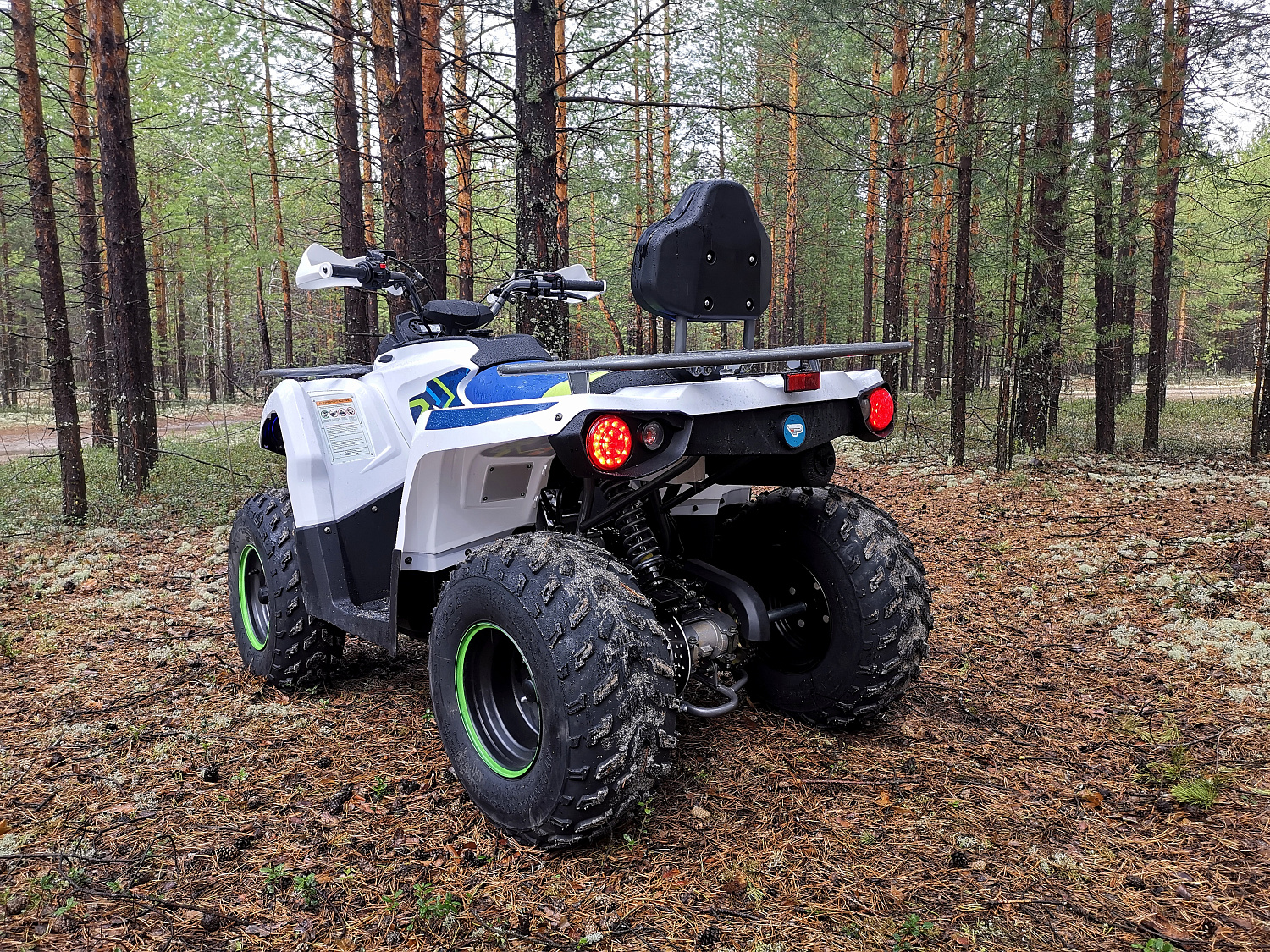Квадроцикл PROMAX RENEGADE 280 (2025) в Рязани