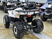 Квадроцикл PROMAX WILD 2.0 190 LUX в Рязани