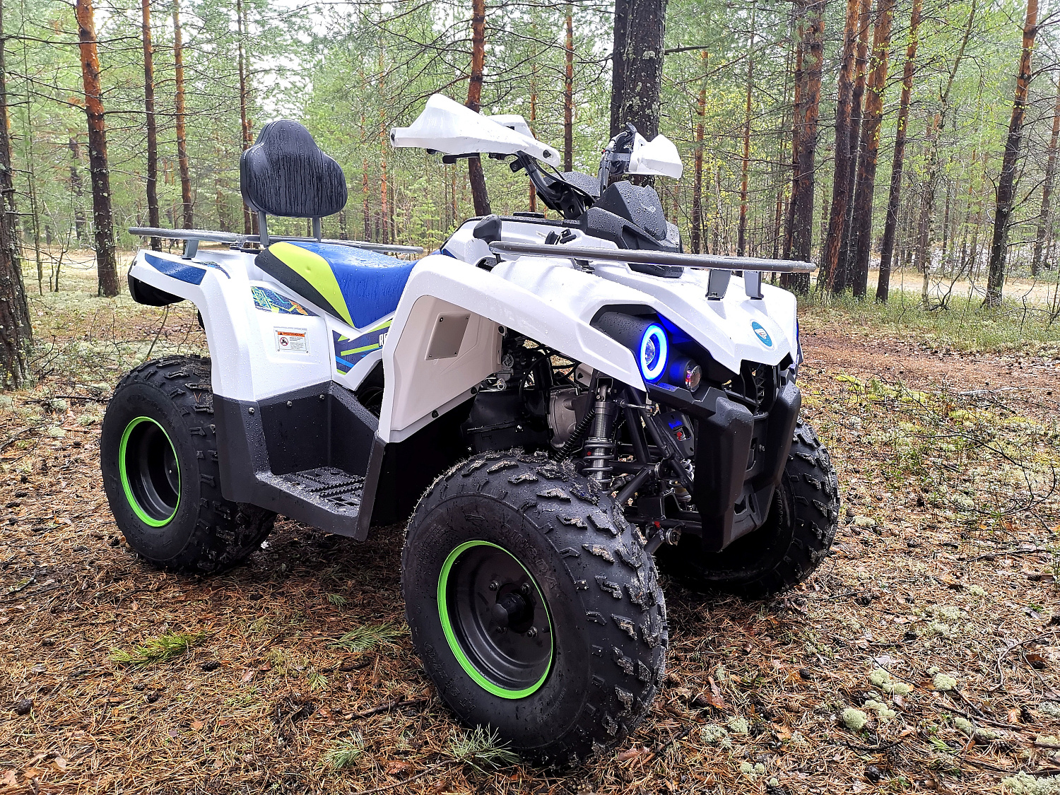 Квадроцикл PROMAX RENEGADE 280 (2025) в Рязани