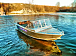 Алюминиевый катер Wyatboat-430 Т Pro Трансформер в Рязани Алюминиевый катер Wyatboat-430 Т Pro Трансформер в Рязани