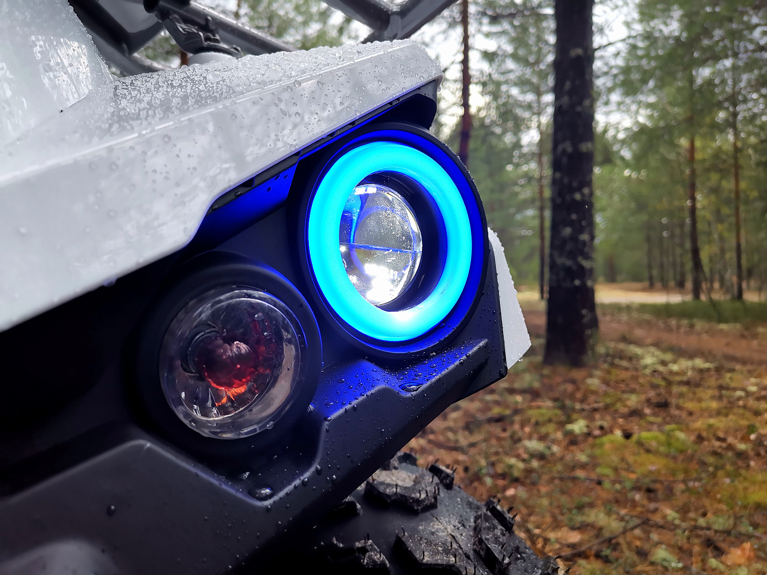 Квадроцикл PROMAX RENEGADE 280 (2025) в Рязани