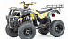 Квадроцикл MOTOLAND (МОТОЛЕНД) 250 ADVENTURE в Рязани