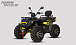 Квадроцикл PROMAX TAURUS 300 MAX-PRO LONG в Рязани